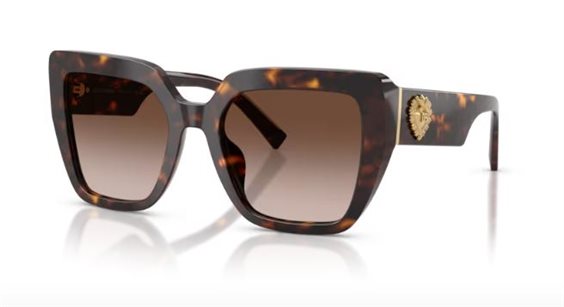 Gafas de sol D&G Mujer 0DG4538502/1354 - 0DG4538502/1354